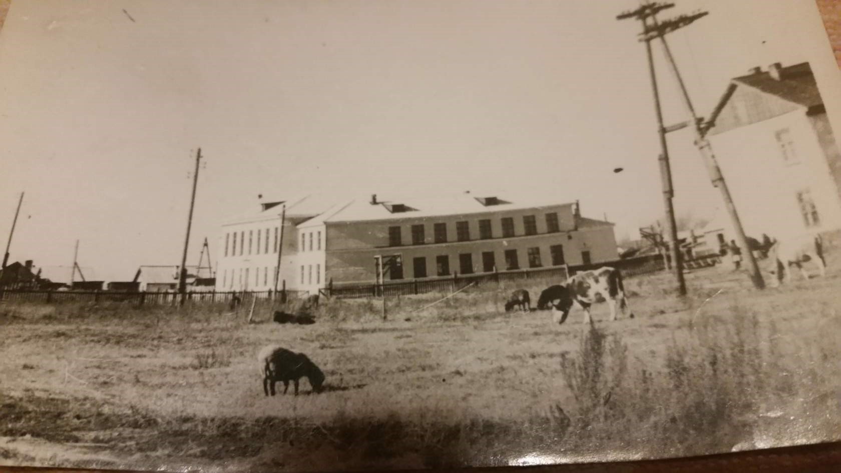 1953г – завершение строительства  новой школы.